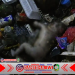 Tragis dan Mencoreng Kemanusiaan: Bayi Ditemukan Meninggal di Aliran Sungai Penuh Sampah di Banyuwangi, Diduga Korban Pembuangan Ilegal