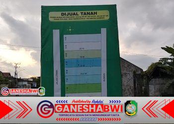 Dugaan Kapling Ilegal di Toyamas Banyuwangi Disorot Tajam, AWI Desak Aparat Tegakkan Hukum dan Bongkar Dugaan Pelanggaran Tata Ruang Dugaan Kapling Ilegal di Toyamas Banyuwangi Disorot Tajam, AWI Desak Aparat Tegakkan Hukum dan Bongkar Dugaan Pelanggaran Tata Ruang