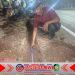 Aktivis Banyuwangi Selatan Soroti Dugaan Pelanggaran Pemasangan Jaringan Fiber Optik, Desak Audit Menyeluruh dan Penegakan Hukum