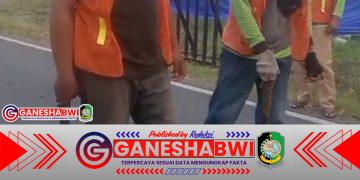 Diduga Jalan Raya Dikorek untuk Drag Bike, Ketua APPM Rofiq Azmi Mengecam: Jangan Korbankan Fasilitas Publik Demi Event! Diduga Jalan Raya Dikorek untuk Drag Bike, Ketua APPM Rofiq Azmi Mengecam: Jangan Korbankan Fasilitas Publik Demi Event!